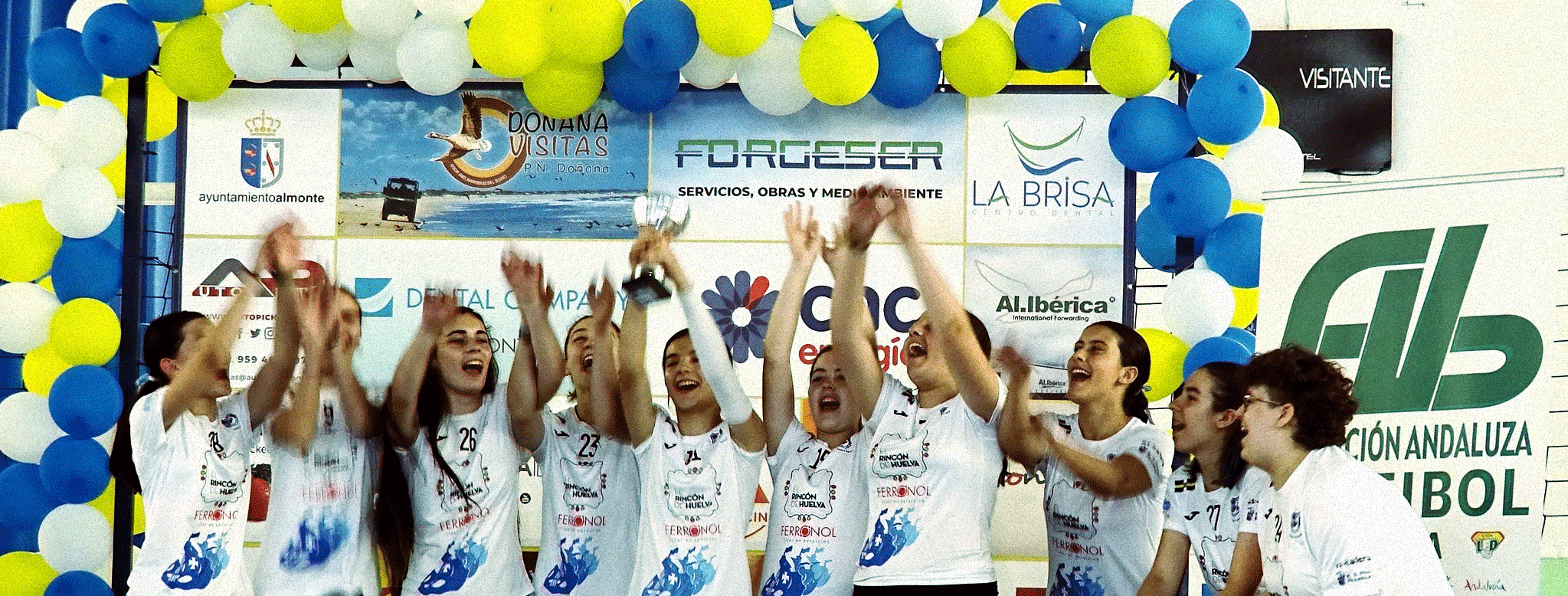 Cabecera-Web-Voley-Aljaraque